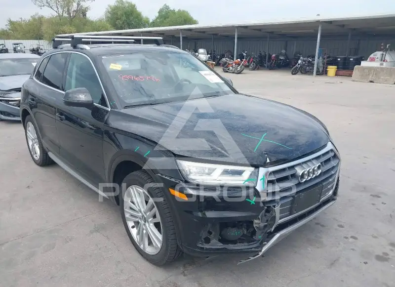 2019 Audi Q5 фото