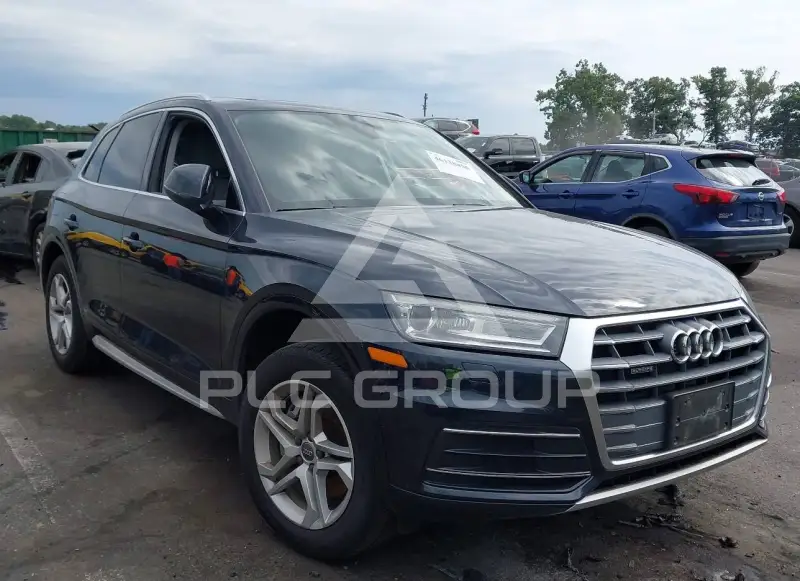 2019 Audi Q5 фото