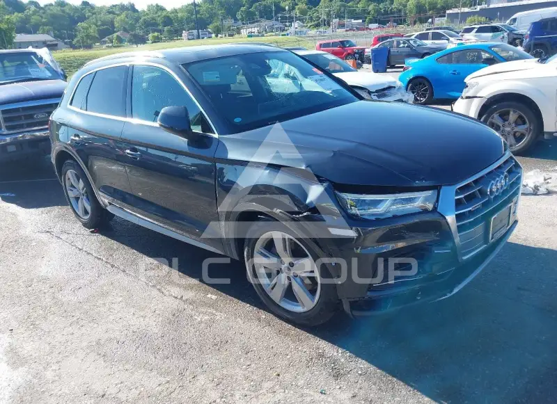 2019 Audi Q5 фото