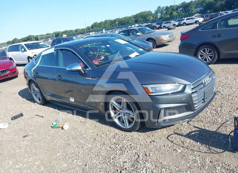 2019 Audi S5 photo