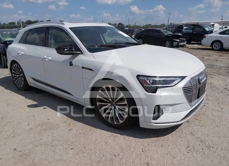 2019 Audi E-TRON фото