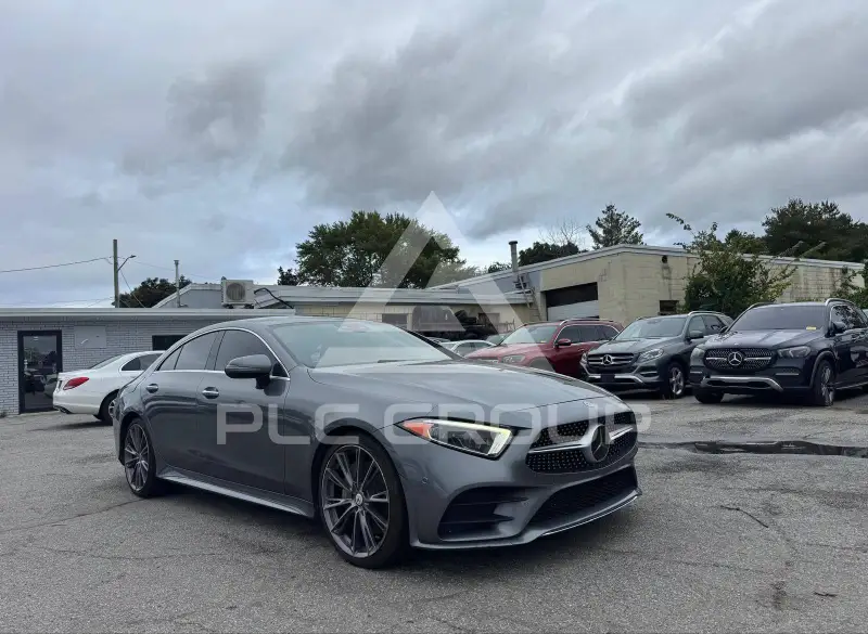 2019 Mercedes Benz CLS 450 photo