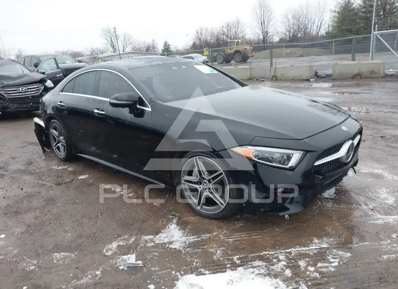 2019 Mercedes Benz CLS 450 photo