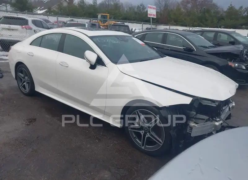 2019 Mercedes Benz CLS 450 photo