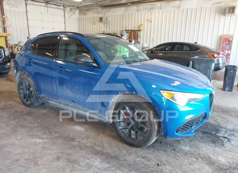 2019 Alfa Romeo Stelvio фото