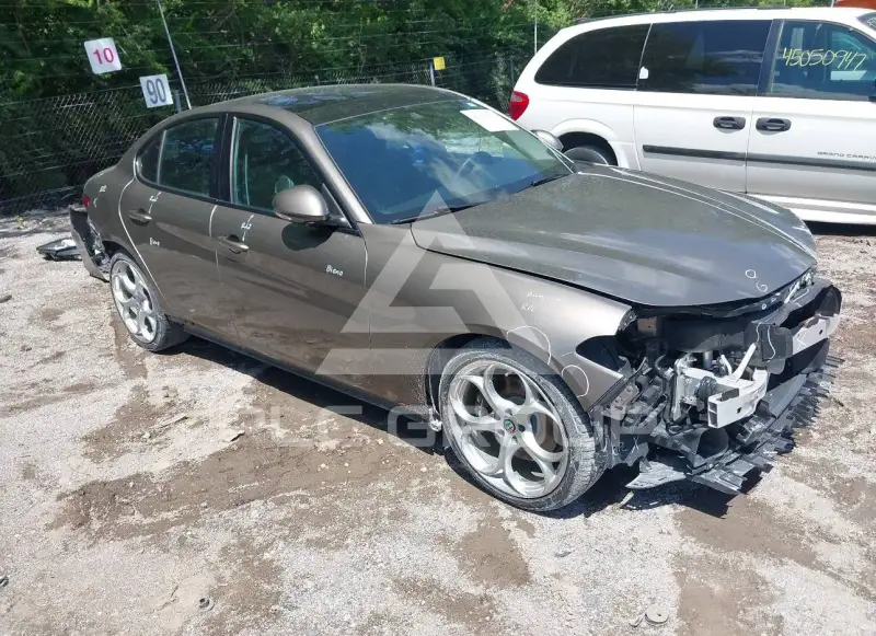 2019 Alfa Romeo Giulia фото