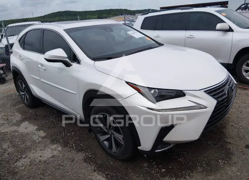 2019 Lexus NX300 фото