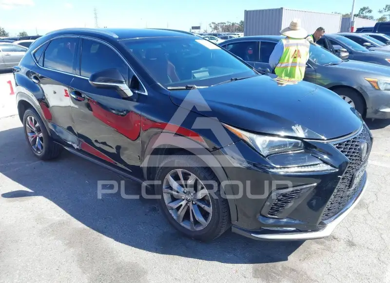 2019 Lexus NX300 фото