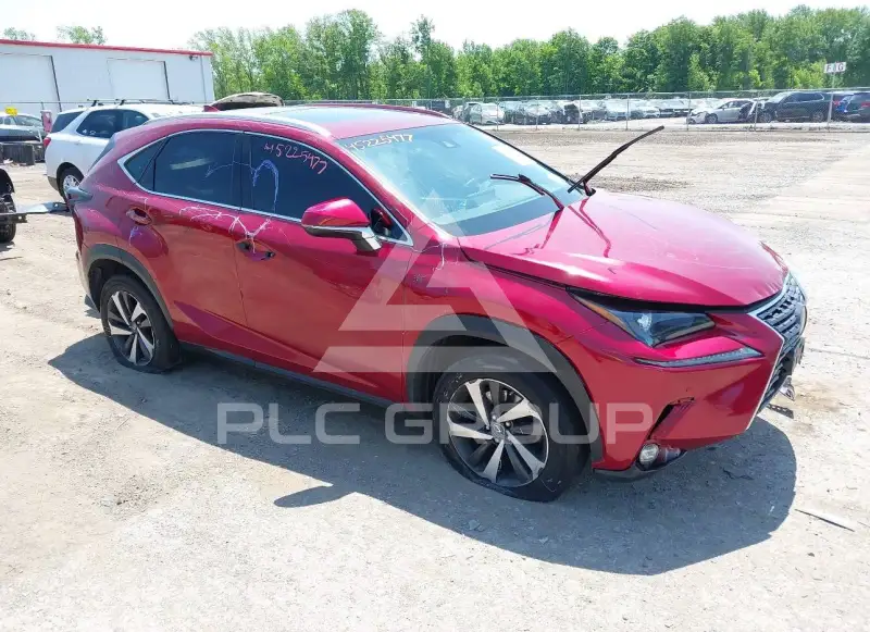 2019 Lexus NX300 фото