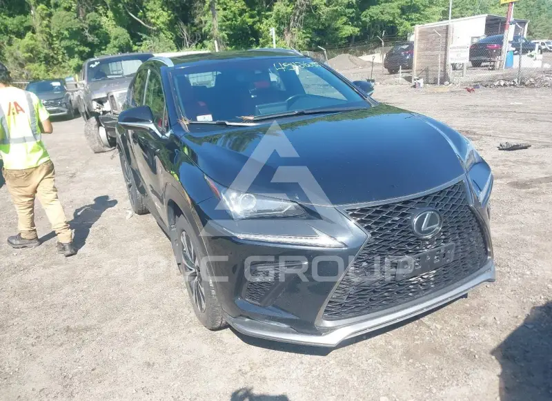 2019 Lexus NX300 фото