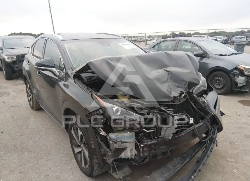 2019 Lexus NX300 фото