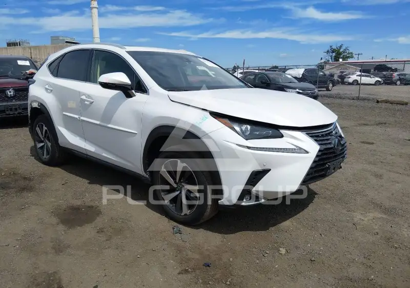 2019 Lexus NX300 фото