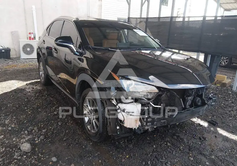 2019 Lexus NX300 фото