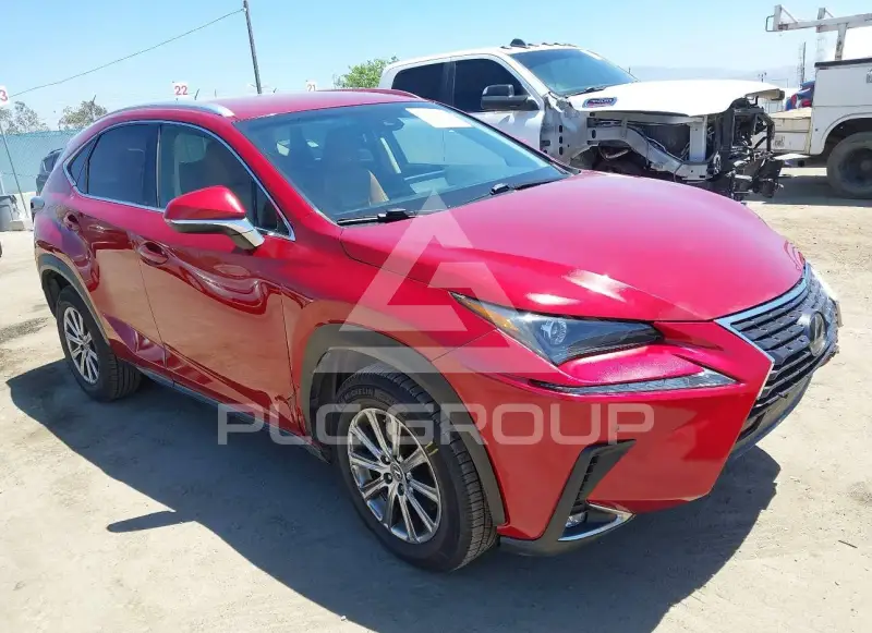 2019 Lexus NX300 фото