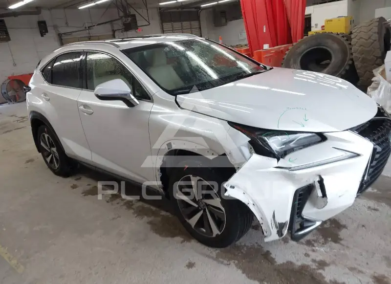 2019 Lexus NX300 фото