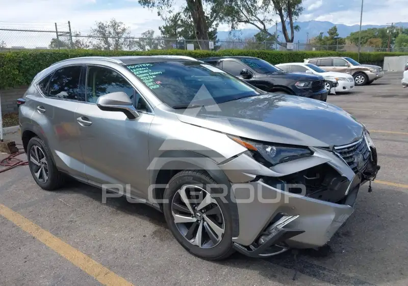 2019 Lexus NX300 photo