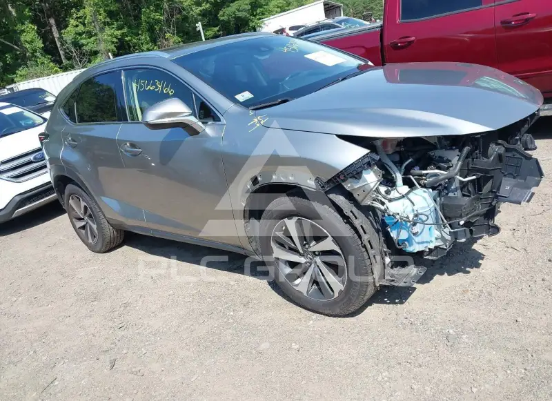 2019 Lexus NX300 фото