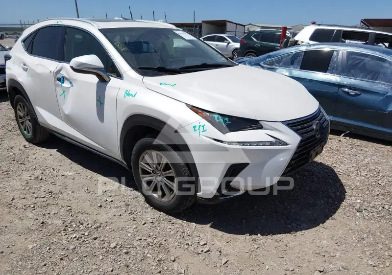 2019 Lexus NX300 photo