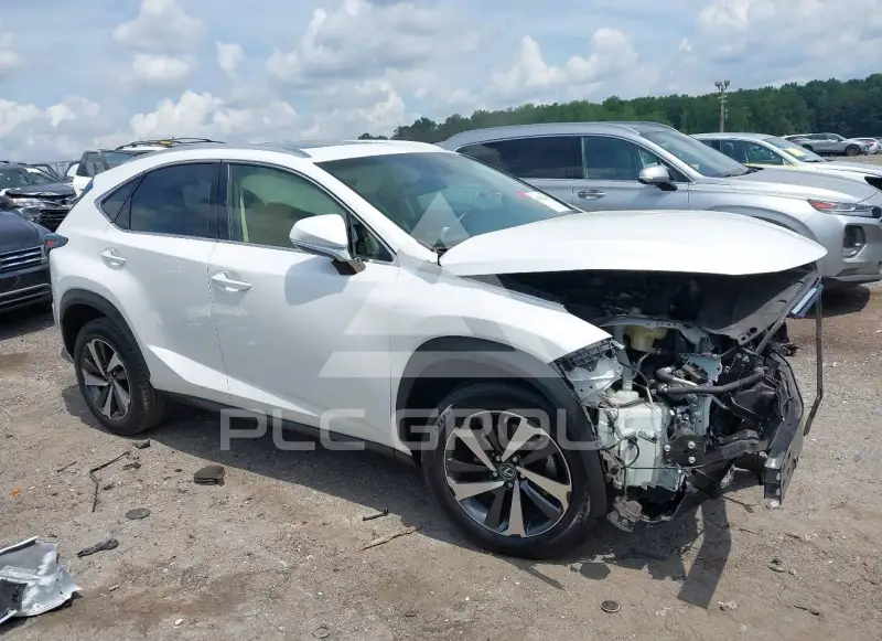 2019 Lexus NX300 photo