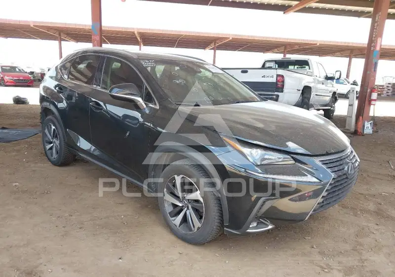2019 Lexus NX300 фото