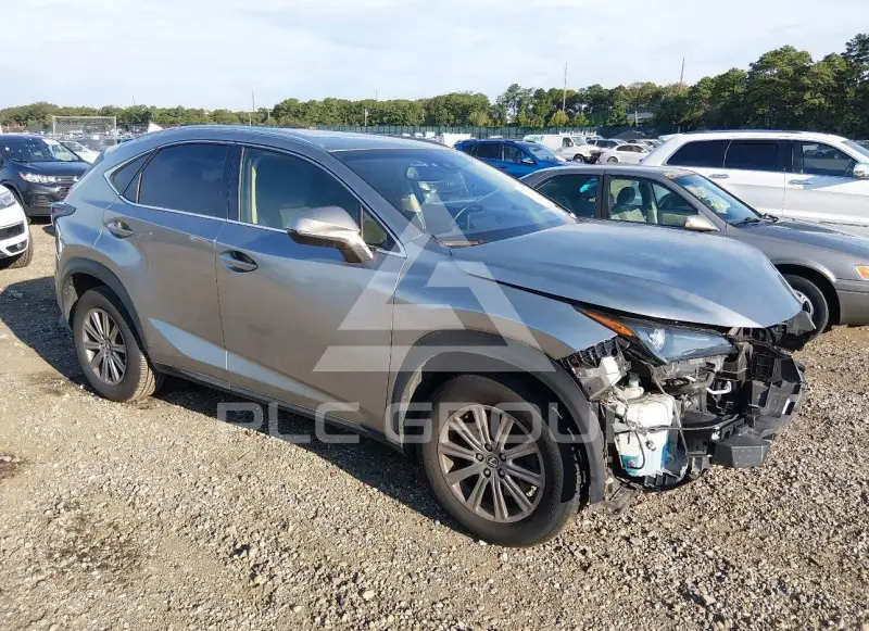 2019 Lexus NX300 photo