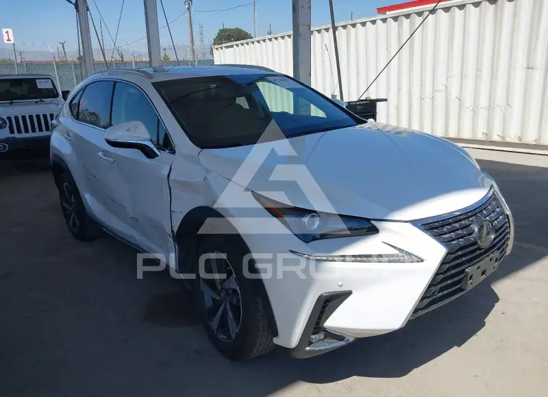 2019 Lexus NX300 фото