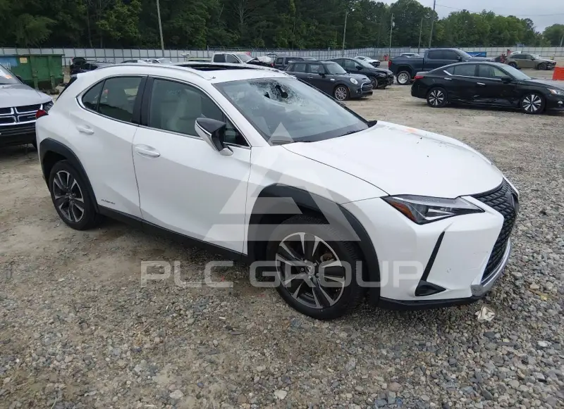 2019 Lexus UX250 фото