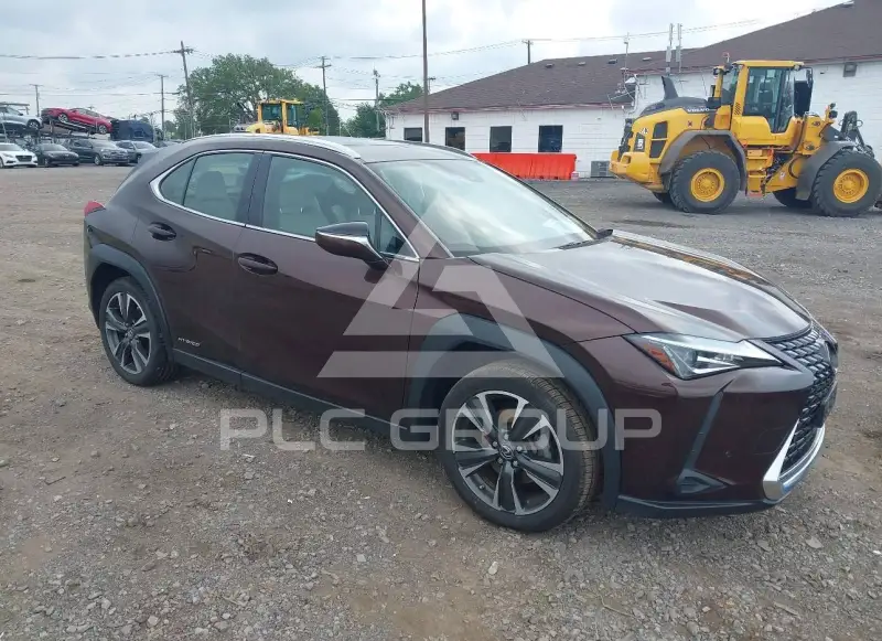 2019 Lexus UX250 photo