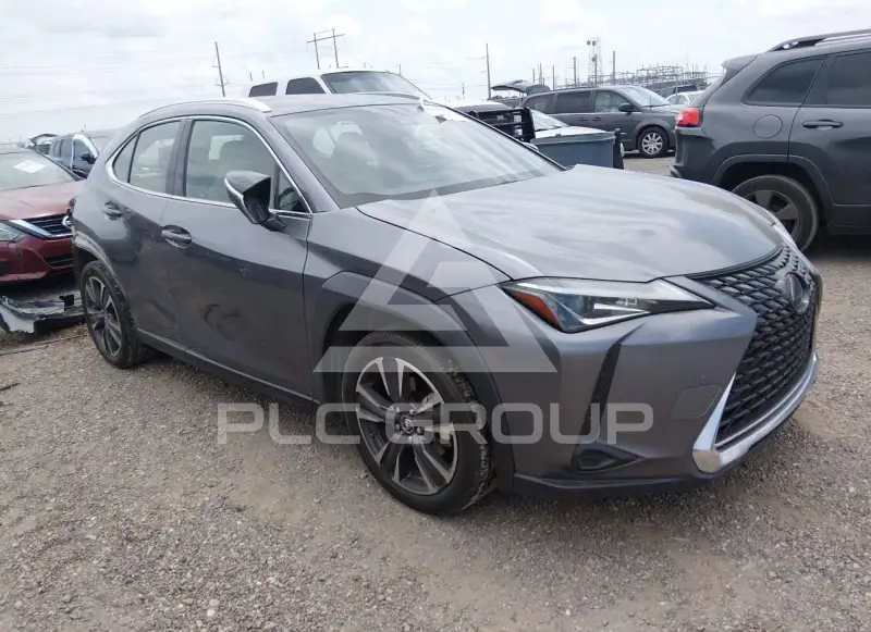 2019 Lexus UX200 фото