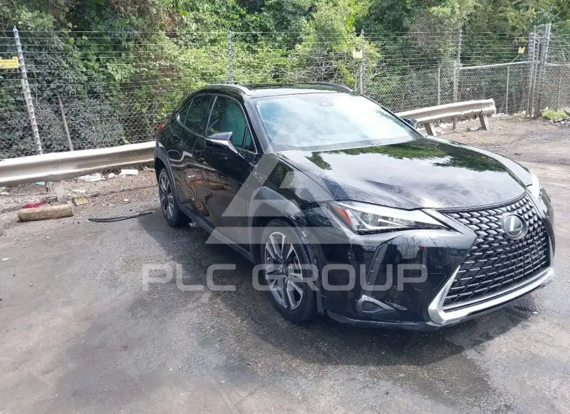 2019 Lexus UX200 фото