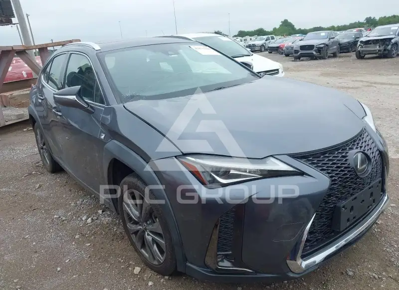 2019 Lexus UX200 фото