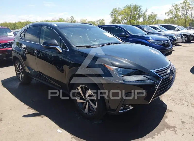 2019 Lexus NX300 фото