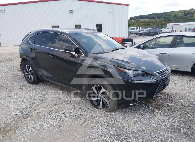 2019 Lexus NX300 photo