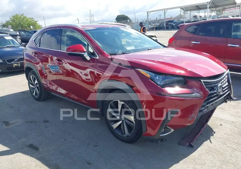 2019 Lexus NX300 фото
