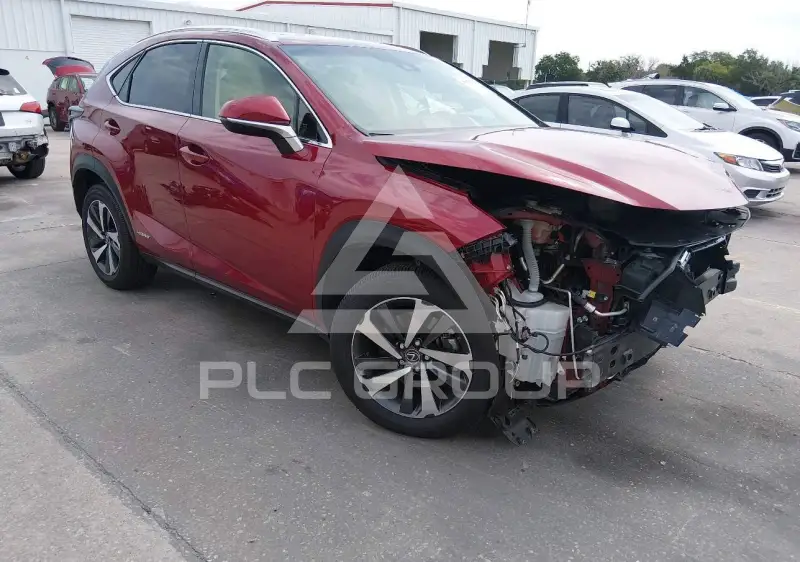 2019 Lexus NX300 фото