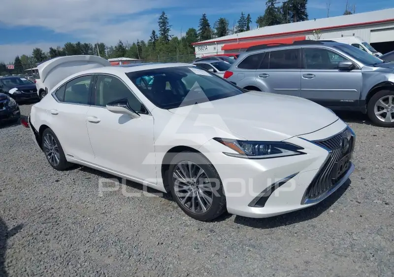 2019 Lexus ES300 фото