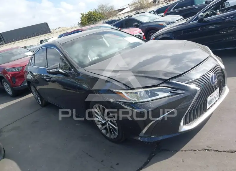 2019 Lexus ES300 photo