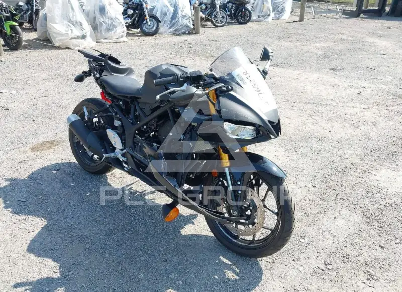 2019 Yamaha YZFR3 фото
