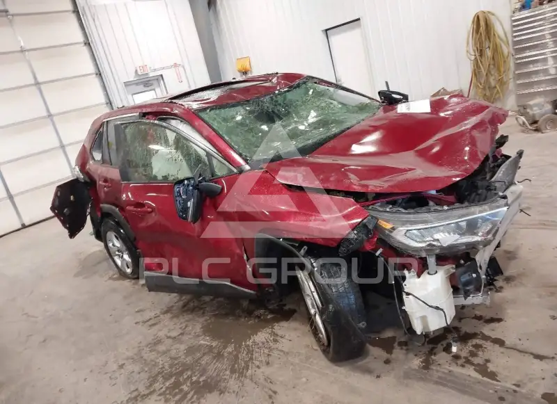 2019 Toyota RAV4 photo