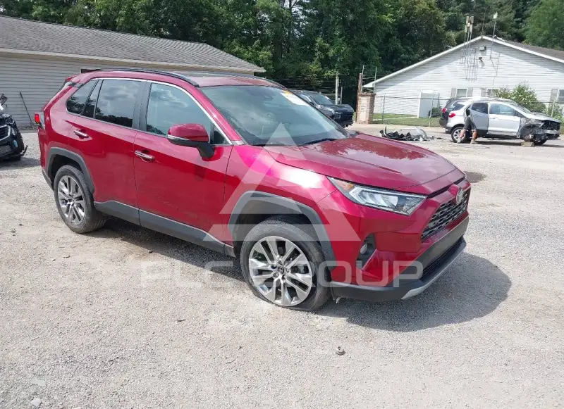 2019 Toyota RAV4 фото
