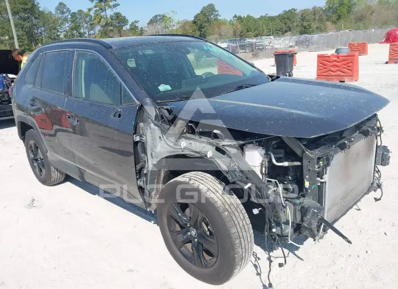 2019 Toyota RAV4 photo