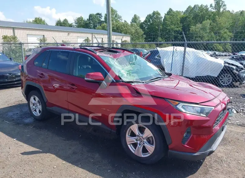 2019 Toyota RAV4 photo