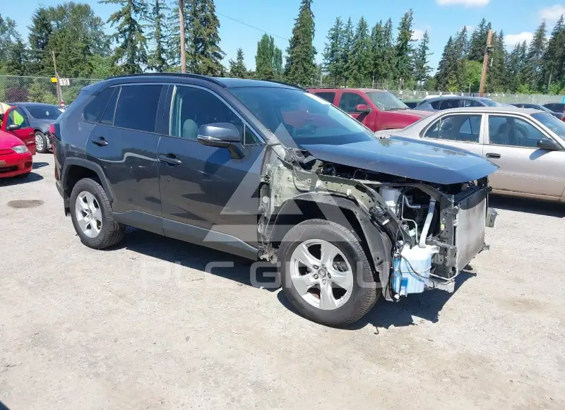 2019 Toyota RAV4 photo