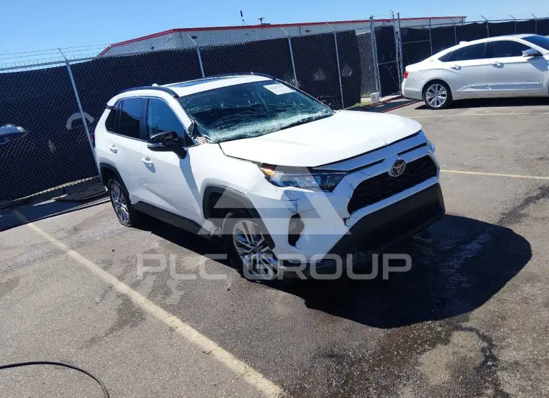 2019 Toyota RAV4 photo