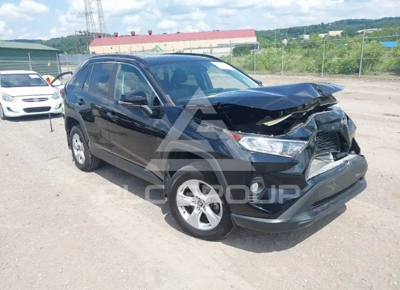 2019 Toyota RAV4 photo