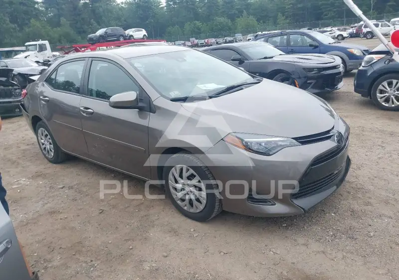 2019 Toyota COROLLA photo