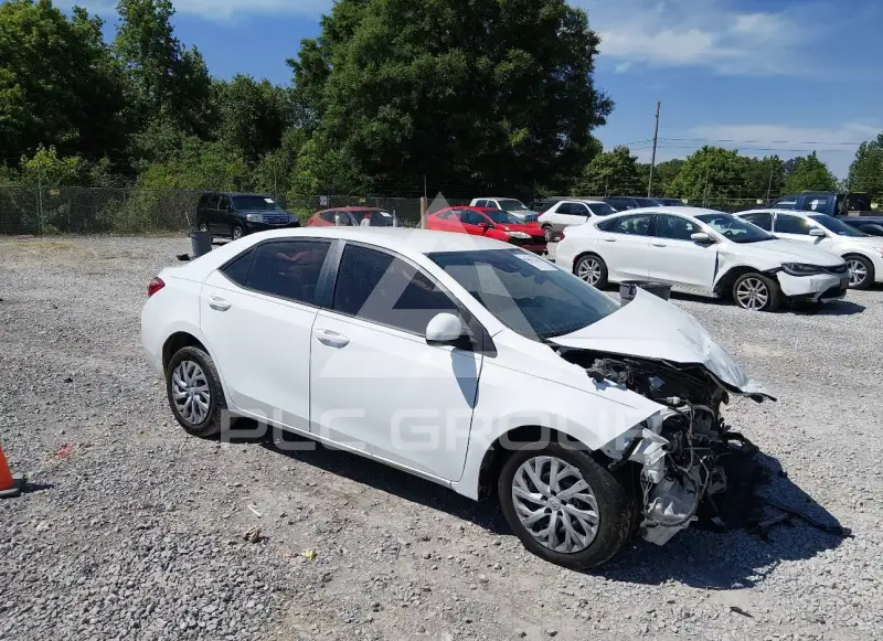 2019 Toyota COROLLA photo