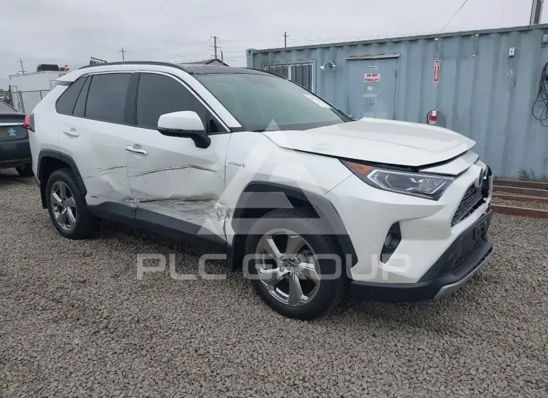 2019 Toyota RAV4 photo