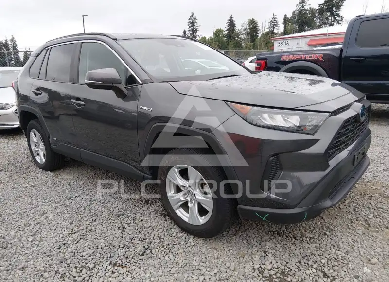 2019 Toyota RAV4 photo