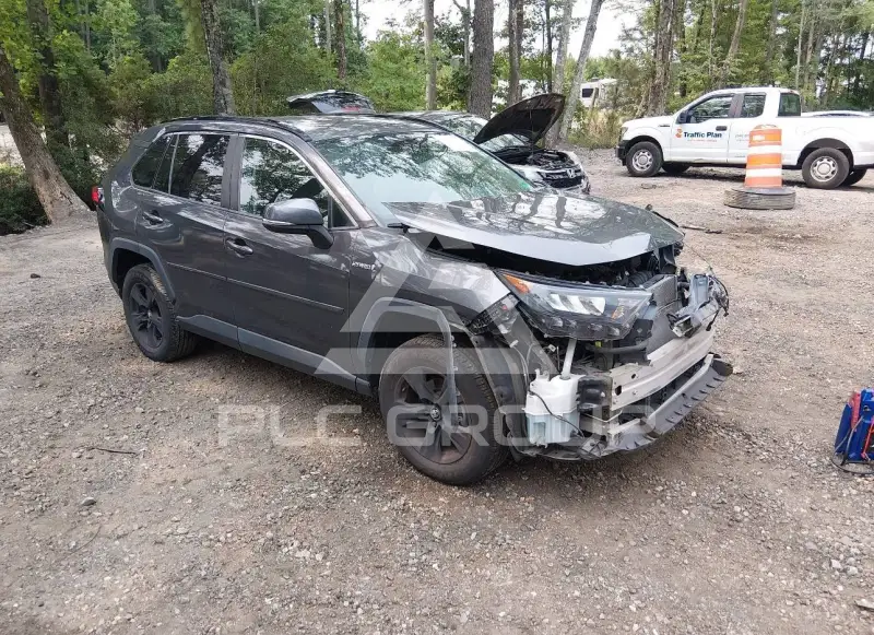 2019 Toyota RAV4 фото